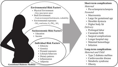 Placental Nutrient Transport in Gestational Diabetic Pregnancies